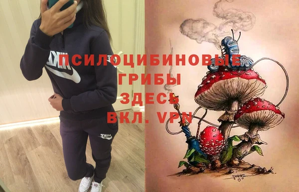 ALPHA-PVP Богородицк