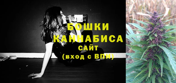 дурь Белокуриха