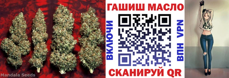 дарнет шоп  Киселёвск  ТГК гашишное масло 